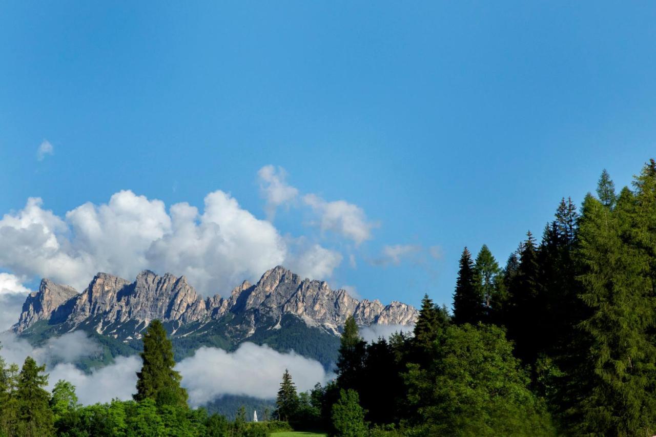 Chalet Del Capriolo Vodo Cadore Exteriör bild